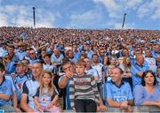 29 June 2014: Supporters on Hill 16. Leinster GAA Football Senior Championship, Semi-Final, Dublin v Wexford, Croke Park, Dublin. Picture credit: Ray McManus / SPORTSFILE