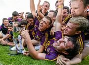 9 July 2014: The Wexford team celebrate with the trophy after the game. Bord Gais Energy Leinster GAA Hurling Under 21 Championship Final, Dublin v Wexford, Parnell Park, Dublin. Picture credit: Brendan Moran / SPORTSFILE