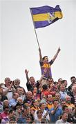 12 July 2014; Wexford supporters celebrate near the end of the game. GAA Hurling All-Ireland Senior Championship Round 1 Replay, Clare v Wexford, Wexford Park, Wexford. Picture credit: Dáire Brennan / SPORTSFILE