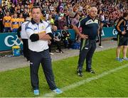 12 July 2014; Clare manager Davy Fitzgerald reacts at the final whistle. GAA Hurling All-Ireland Senior Championship Round 1 Replay, Clare v Wexford, Wexford Park, Wexford. Picture credit: Dáire Brennan / SPORTSFILE