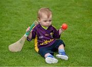 12 July 2014; Seventeen month old Wexford supporter Alfie Doyle, from Enniscorthy, Co. Wexford, on the pitch at halftime. GAA Hurling All-Ireland Senior Championship Round 1 Replay, Clare v Wexford, Wexford Park, Wexford. Picture credit: Dáire Brennan / SPORTSFILE