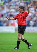 19 July 2014; Referee Colm Lyons. GAA Hurling All Ireland Senior Championship, Round 2, Waterford v Wexford, Nowlan Park, Kilkenny. Picture credit: Ray McManus / SPORTSFILE