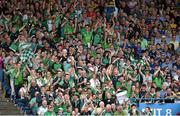 27 July 2014; Limerick supporters celebrate after David Breen scored his side's first goal. GAA Hurling All Ireland Senior Championship Quarter-Final, Limerick v Wexford. Semple Stadium, Thurles, Co. Tipperary. Picture credit: Diarmuid Greene / SPORTSFILE
