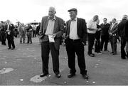28 July 2014; (Editors please note; This black & white image has been created from an original colour file) Joe Stapleton, left, from Ennis, Co. Clare, and Pat Furey, from Oranmore, Co. Galway, look up the betting prices ahead of the Pillo Hotel Handicap. Galway Racing Festival, Ballybrit, Co. Galway. Picture credit: Barry Cregg / SPORTSFILE