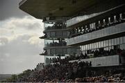 29 July 2014; A general view of the large crowd watching the Topaz E.B.F. Fillies Maiden. Galway Racing Festival, Ballybrit, Co. Galway. Picture credit: Barry Cregg / SPORTSFILE