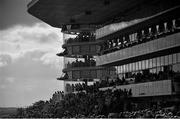 29 July 2014; (Editors please note; This black & white image has been created from an original colour file) A general view of the large crowd watching the Topaz E.B.F. Fillies Maiden. Galway Racing Festival, Ballybrit, Co. Galway. Picture credit: Barry Cregg / SPORTSFILE