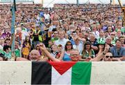 27 July 2014; Supporters stand behind a Palestinian flag during the game. GAA Hurling All Ireland Senior Championship Quarter-Final, Limerick v Wexford. Semple Stadium, Thurles, Co. Tipperary. Picture credit: Diarmuid Greene / SPORTSFILE