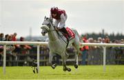 30 July 2014; Whitey O'Gwaun, with Finnian Maguire up, on their way to winning the Grab A Grand With Tote Maiden. Galway Racing Festival, Ballybrit, Co. Galway. Picture credit: Barry Cregg / SPORTSFILE