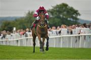 30 July 2014; Road to Riches, with Shane Shortall up, on their way to winning thetote.com Galway Plate. Galway Racing Festival, Ballybrit, Co. Galway. Picture credit: Barry Cregg / SPORTSFILE