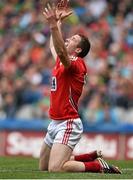 3 August 2014; Cork's Colm O'Neill reacts after a referring decision going against him during the second half. GAA Football All-Ireland Senior Championship, Quarter-Final, Mayo v Cork, Croke Park, Dublin. Picture credit: Brendan Moran / SPORTSFILE