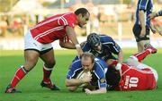 23 September 2006; Leinster Denis Hickie goes over for his second try of the game. Magners Celtic League 2006 - 2007, Llanelli Scarlets v Leinster, Stradley Park, Wales. Picture credit: Tim Parfitt / SPORTSFILE