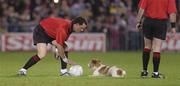 28 October 2006; Referee Shane McInerney tries to catch a dog that strayed onto Pearse Stadium. Coca-Cola International Rules Series 2006, First Test, Ireland v Australia, Pearse Stadium, Galway. Picture credit: Ray Ryan / SPORTSFILE