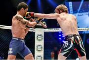 16 August 2014; Andy Young, right, in action against Paul Marin during their flyweight bout. Cage Warriors 70 Fight Night, The Helix, Dublin. Picture credit: Ramsey Cardy / SPORTSFILE