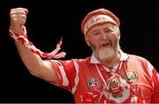 17 August 2014; Cork supporter Joe Cole, from Charleville, Co. Cork, at the game. GAA Hurling All-Ireland Senior Championship Semi-Final, Cork v Tipperary. Croke Park, Dublin. Photo by Sportsfile