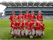 17 August 2014; The Cork team, back row, left to right, Matthew McCabe, St Malachy's Primary School, Down, Yanick Scheerer, Gaelscoil na Cruaiche, Mayo, Daniel Creegan, Killasonna National School, Longford, Cian Farrelly, St Michael's National School, Cavan, Cathal Wilson, Bishop Galvin National School, Cork, front row, left to right, John Toomey, Sacred Heart National School, Wicklow, James O’Leary, Glenville National School, Cork, Ferran O’Sullivan-Clavo, St Corbans Boys National School, Kildare, Ruairi McCann, St John's Primary School, Armagh, Mikey Duignan, Baltydaniel National School, Cork. INTO/RESPECT Exhibition GoGames, Croke Park, Dublin. Picture credit: Dáire Brennan / SPORTSFILE