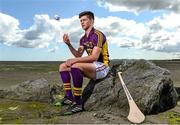 19 August 2014; U-21 stars Tony Kelly, Clare, Stephen McAfee, Antrim, Cathal Mannion, Galway, and Conor McDonald, Wexford, met today in Clanna Gael GAA Club ahead of the Bord Gáis Energy GAA Hurling U-21 All-Ireland Semi Final which take place this Saturday 23rd August in Semple Stadium, Thurles. Clare take on Ulster winners Antrim at 4pm while Galway face Leinster kingpins Wexford at 6pm. Both games will be shown live on TG4 and spectators can vote for their player of the match by using hBGE. Pictured is Wexford's Conor McDonald. Bord Gáis Energy GAA Hurling All-Ireland U21 Championship Semi-Final Photocall, Clanna Gael Fontenoy GAA Club, Ringsend, Dublin. Picture credit: Ramsey Cardy / SPORTSFILE
