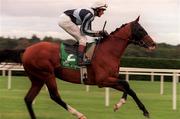 11 September 1999; Dream Well, with Cash Asmussen up, go to post during horse racing at Leopardstown Racecourse in Dublin. Photo by Ray McManus/Sportsfile