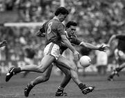 18 September 1988; Liam Hayes of Meath in action against Tony Nation of Cork during the All-Ireland Senior Football Championship Final between Meath and Cork at Croke Park in Dublin. Photo by Ray McManus/Sportsfile