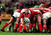 10 September 1999; Peter Stringer of Munster during the Representative Match between Munster and Ireland XV at Musgrave Park in Cork. Photo by Matt Browne/Sportsfile