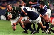 3 October 1999; Robbie Fleck of South Africa is tackled by Stuart Grimes and Scott Murray, right, of Scotland during the Rugby World Cup Pool A match between Scotland and South Africa at Murrayfield Stadium in Edinburgh, Scotland. Photo by Matt Browne/Sportsfile
