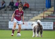 23 August 2014; Emma Curley, Galway, plays with a dog on the pitch at half-time. TG4 All-Ireland Ladies Football Senior Championship, Quarter-Final, Galway v Monaghan, St Brendan's Park, Birr, Co. Offaly. Picture credit: Brendan Moran / SPORTSFILE