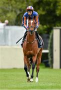 24 August 2014; Gleneagles, with Joseph O'Brien up, make their way to post ahead of the Galileo European Breeders Fund Futurity Stakes. Curragh Racecourse, The Curragh, Co. Kildare. Picture credit: Barry Cregg / SPORTSFILE