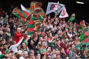 24 August 2014; Mayo supporters, in the Cusack Stand, celebrate a score late in the game. GAA Football All-Ireland Senior Championship, Semi-Final, Kerry v Mayo, Croke Park, Dublin. Picture credit: Ray McManus / SPORTSFILE