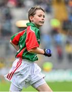 24 August 2014; Sam Barnes, Carrick-on-Shannon, Co. Leitrim. INTO/RESPECT Exhibition GoGames, Croke Park, Dublin. Picture credit: Ramsey Cardy / SPORTSFILE