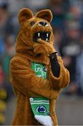 30 August 2014; The Penn State mascot watches the game. Croke Park Classic 2014, Penn State v University of Central Florida. Croke Park, Dublin. Picture credit: Brendan Moran / SPORTSFILE