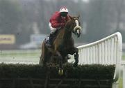 26 December 2006; Charlie Yardbird, with Paul Carberry up, clears the last on their way to winning the Durkan New Homes Maiden Hurdle. Leopardstown Racecourse, Leopardstown, Dublin. Picture credit: Pat Murphy / SPORTSFILE