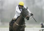 26 December 2006; Savitha, with John Cullen up, in action during the Durkan New Homes Handicap Hurdle. Leopardstown Racecourse, Leopardstown, Dublin. Picture credit: Pat Murphy / SPORTSFILE