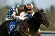 28 December 2006; Candy Girl, with Ruby Walsh up, ahead of second place Farmer Brown, with Davy Russell up, on their way to winning the O'Dwyers Stillorgan Orchard Maiden Hurdle. Leopardstown Racecourse, Leopardstown, Dublin. Picture credit: Matt Browne / SPORTSFILE