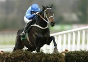 28 December 2006; Celestial Wave, with Timmy Murphy up, on their way to winning the woodiesdiy.com Christmas Hurdle. Leopardstown Racecourse, Leopardstown, Dublin. Picture credit: Matt Browne / SPORTSFILE