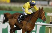 29 December 2006; Pedrobob, with Ruby Walsh up, on their way to winning the Bewleys Hotel Leeds Hurdle. Leopardstown Racecourse, Leopardstown, Dublin. Picture credit: Matt Browne / SPORTSFILE