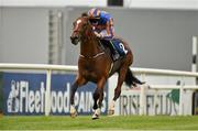 24 August 2014; Gleneagles, with Joseph O'Brien up, on their way to winning the Galileo European Breeders Fund Futurity Stakes. Curragh Racecourse, The Curragh, Co. Kildare. Picture credit: Barry Cregg / SPORTSFILE