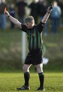 14 January 2007; Referee Eddie Craul issues a red card to Louth's Mark Stanfield. O'Byrne Cup Quarter-Final, Laois v Louth, McCann Park, Portarlington, Co. Laois. Picture credit: Brian Lawless / SPORTSFILE