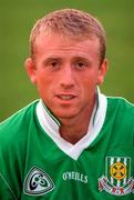 16 June 1996; Damien Quigley of Limerick ahead of the Munster GAA Hurling Senior Championship Semi-Final match between Limerick and Clare at Gaelic Grounds in Limerick. Photo by Ray McManus/Sportsfile