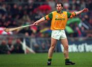18 May 1997; Declan Murray of Meath during the Leinster Senior Hurling Championship Preliminary Round match between Offaly and Meath at Cusack Park in Mullingar. Photo by Ray McManus/Sportsfile
