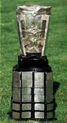 The Liam MacCarthy Trophy. Photo by Ray McManus/Sportsfile