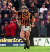 19 September 1999; Kilkenny's Henry Shefflin celebrates his eight, and his side's last, point of the game during the All-Ireland U21 Hurling Championship Final between Kilkenny and Galway at O'Connor Park in Tullamore, Offaly. Photo by Brendan Moran/Sportsfile