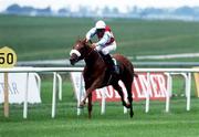 25 May 1991; Kooyonga, with Warren O'Connor up, on their way to winning the Geoffs Irish 1,000 Guineas at the Curragh Racecourse in Kildare. Photo by Sportsfile