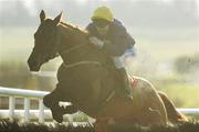 25 January 2007; Madroos, with Conor O'Dwyer up, on their way to winning the P.J. Foley Memorial Maiden Hurdle. Gowran Park. Picture credit: Matt Browne / SPORTSFILE