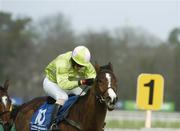28 January 2007; Scotsirish, with Davy Condron up, on their way to winning the Frank Conroy Memorial Maiden Hurdle. AIG Europe Champion Hurdle, Leopardstown Racecourse, Dublin. Picture credit: Ray Lohan / SPORTSFILE *** Local Caption *** 4.00pm The Flying Legend at Ballintry Stud Handicap Hurdle