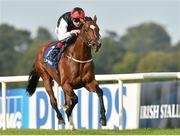 13 September 2014; Free Eagle, with Pat Smullen up, on their way to winning the Irish Stallion Farms European Breeders Fund 'Petingo' Handicap. Leopardstown Racecourse, Leopardstown, Co. Dublin. Picture credit: Matt Browne / SPORTSFILE