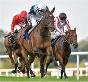 13 September 2014; Fiesolana, with Billy Lee up, on their way to winning the Coolmore Fastnet Rock Matron Stakes. Leopardstown Racecourse, Leopardstown, Co. Dublin. Picture credit: Matt Browne / SPORTSFILE
