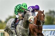 13 September 2014; The Grey Gatsby, with Ryan Moore up, on their way to winning the QIPCO Irish Champion Stakes from Australia, with Joseph O'Brien up. Leopardstown Racecourse, Leopardstown, Co. Dublin. Picture credit: Matt Browne / SPORTSFILE