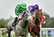 13 September 2014; The Grey Gatsby, with Ryan Moore up, on their way to winning the QIPCO Irish Champion Stakes from Australia, with Joseph O'Brien up. Leopardstown Racecourse, Leopardstown, Co. Dublin. Picture credit: Matt Browne / SPORTSFILE