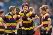 13 September 2014; Action from the half-time mini games between Clane RFC and Skerries RFC. Guinness PRO12, Round 2, Leinster v Scarlets. RDS, Ballsbridge, Dublin. Picture credit: Ramsey Cardy / SPORTSFILE