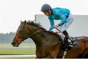 14 September 2014; Brown Panther, with Richard Kingscote up, after winning the Palmerstown House Estate Irish St. Leger. Curragh Racecourse, The Curragh, Co. Kildare. Picture credit: Pat Murphy / SPORTSFILE