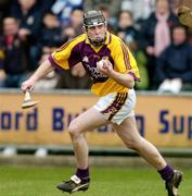 18 February 2007; Robbie Codd, Wexford. Allianz National Hurling League, Division 1A, Round 1, Wexford v Waterford, Wexford Park, Wexford. Picture credit: Matt Browne / SPORTSFILE